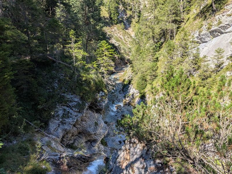 Blick von oben in die bewaldete Schlucht