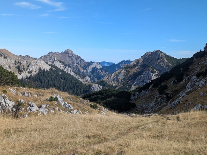 Grasiger Hang mit Pfad hinter dem Weitalpjoch, vor felsigen Gipfeln