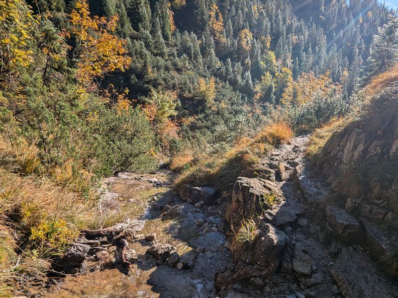 Steiniger Pfad durch eine Rinne im Herbstwald