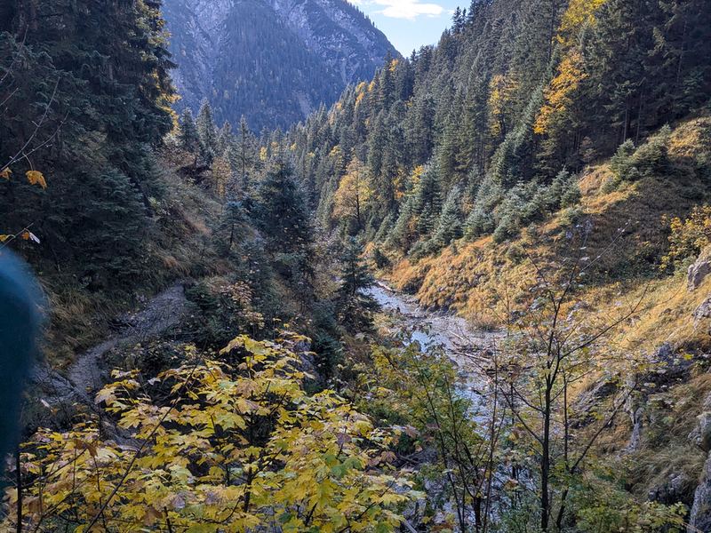 Blick vom Weg hinunter ins Tal, gelbes Laub am Hang