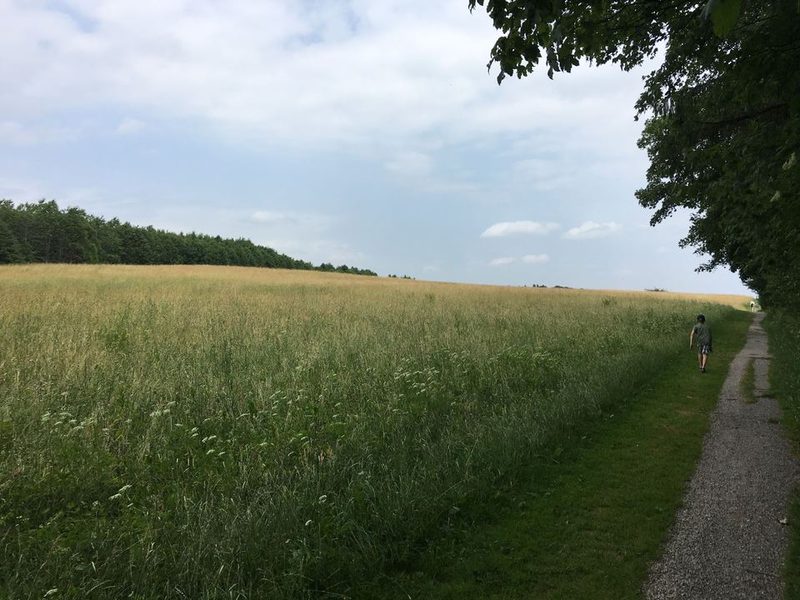 Ilkahöhe-Rundweg (Juni 2017)