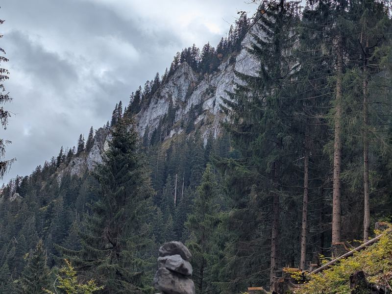 Felswände über dem Wald, im Vordergrund ein Steinmännchen