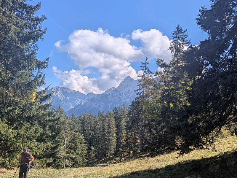 Zwischen den Fichten öffnet sich der Blick auf felsige Gipfel