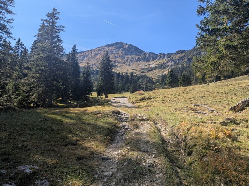 Almwiese mit Schotterweg, dahinter ein Bergrücken