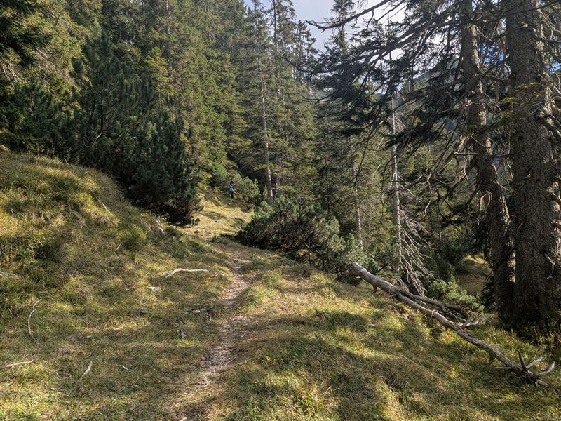 Schmaler Pfad am Waldrand