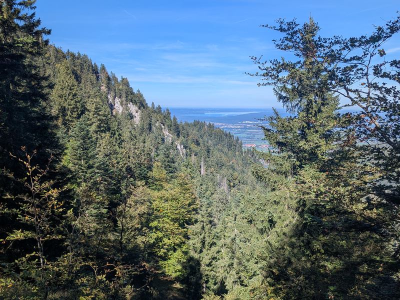 Erster Blick durch den Wald hinunter zum Kochelsee