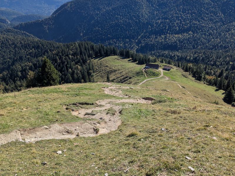 Abstieg zur Staffelalm auf ihrer Bergwiese