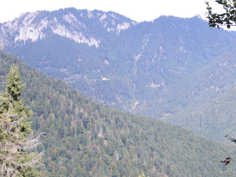 Blick auf die Felswände des Wettersteingebirges im Süden
