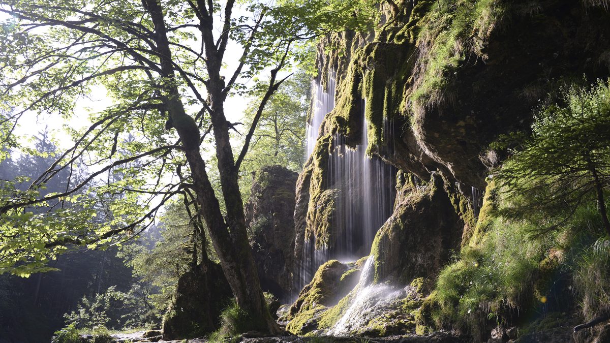 Schleierfälle in der Ammerschlucht