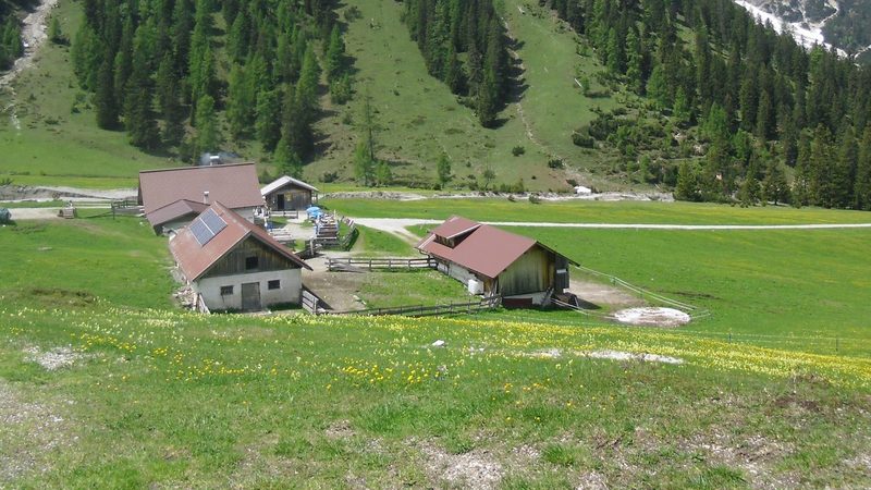 Die Almgebäude der Eppzirler Alm auf blühenden Wiesen im Eppzirler Tal