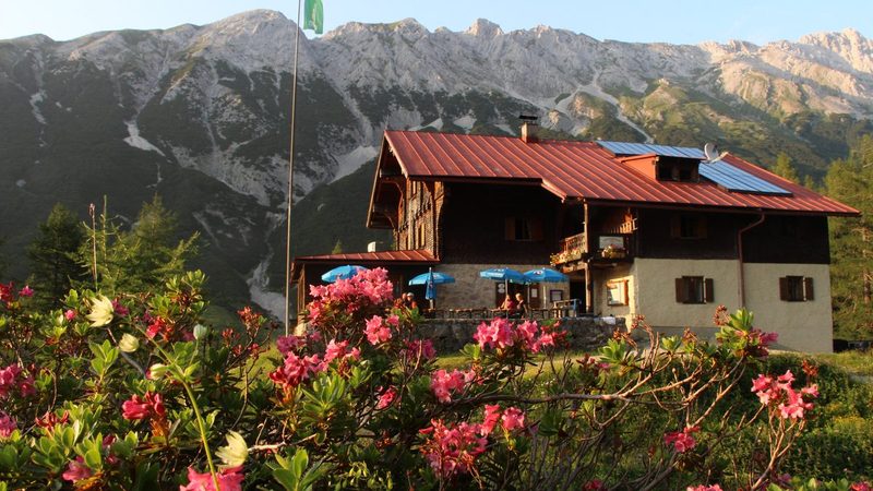 Das Hallerangerhaus im Abendlicht, davor blühende Alpenrosen