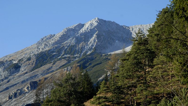 Die Speckkarspitze von Südosten über den Bergwäldern des Halltals