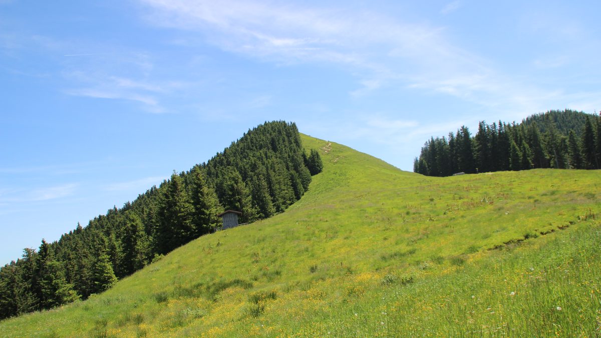 Vorderes Hörnle in den Ammergauer Alpen