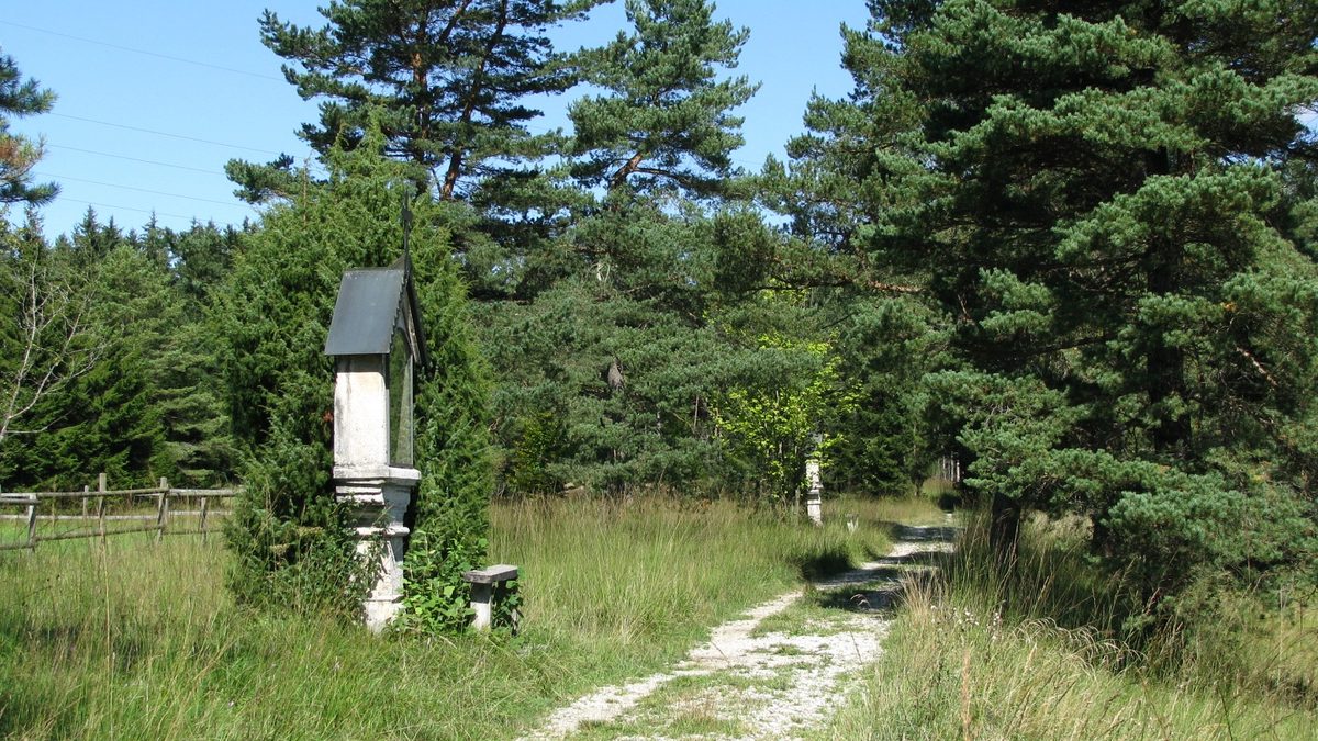 Kreuzweg durch die Magnetsrieder Hardt hinauf zur Hardtkapelle