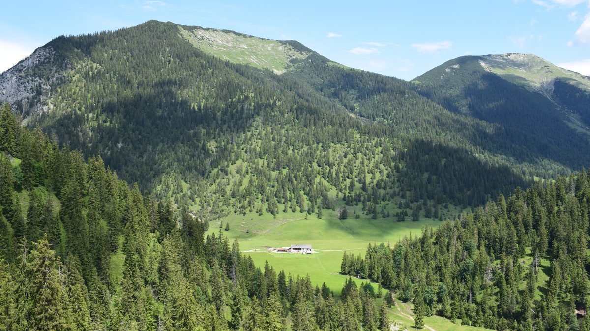 Die Esterbergalm vor dem Hohen Fricken
