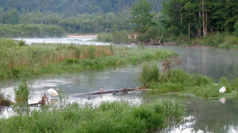 Die Isar in der Pupplinger Au — Kiesinseln dürfen nicht betreten werden
