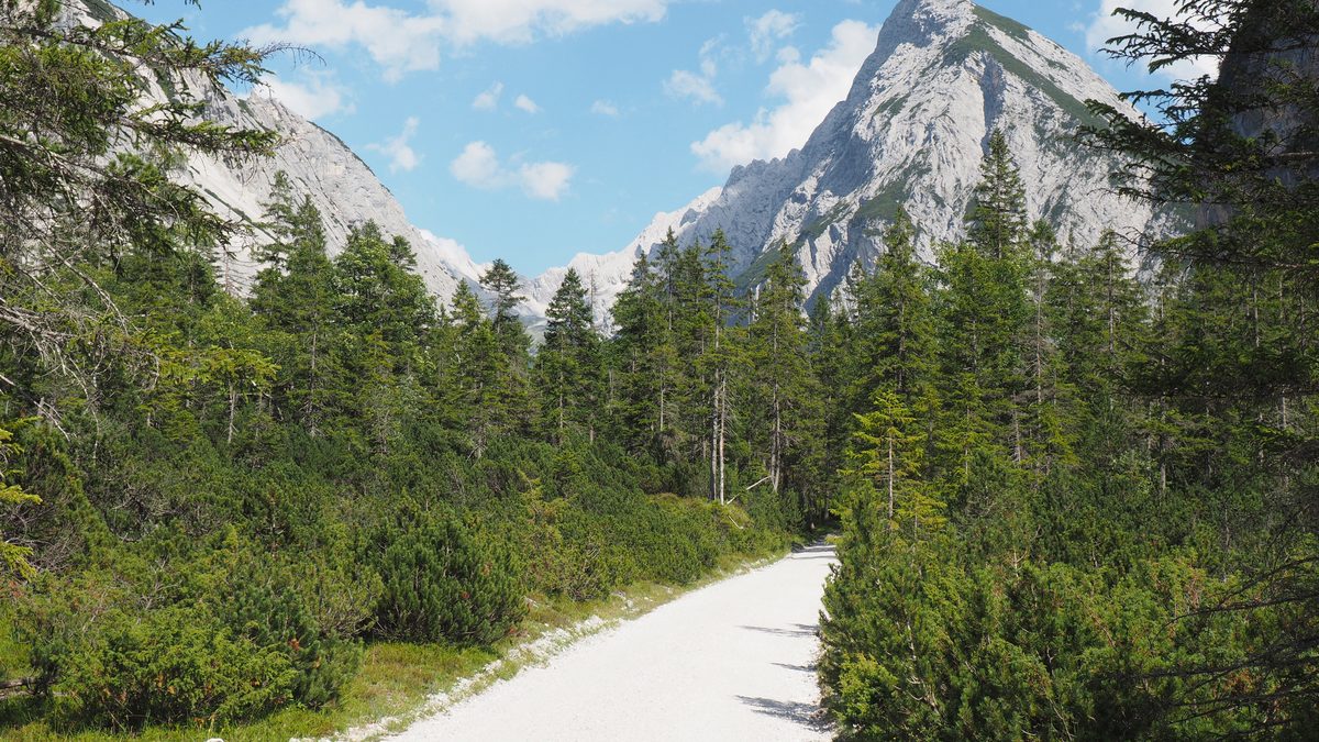 Der Weg zur Kastenalm im Hinterautal
