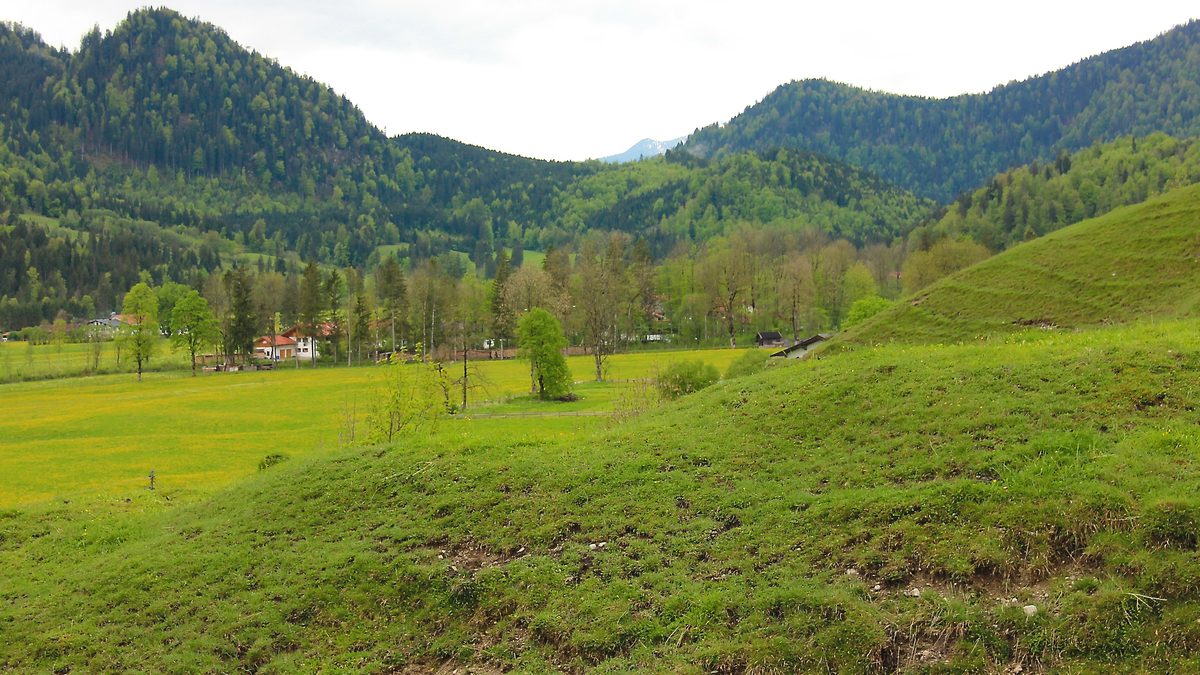 Die Jachenau mit blühender Bergwiese