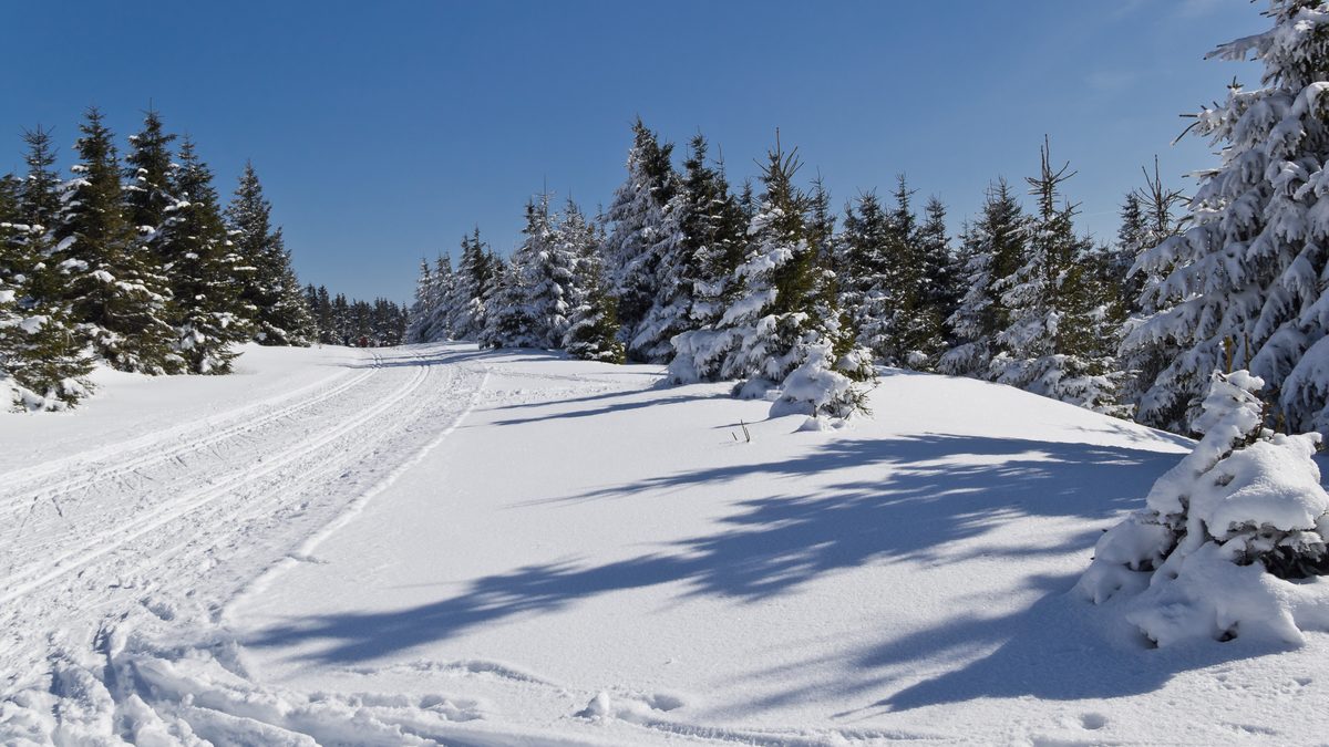 Frisch gespurte Langlaufloipe im Winterwald (Symbolbild)