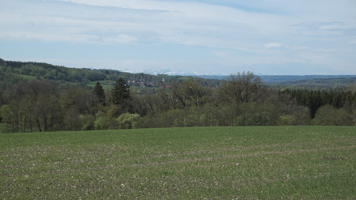 Landschaft im Landkreis Starnberg mit Blick auf die Alpen