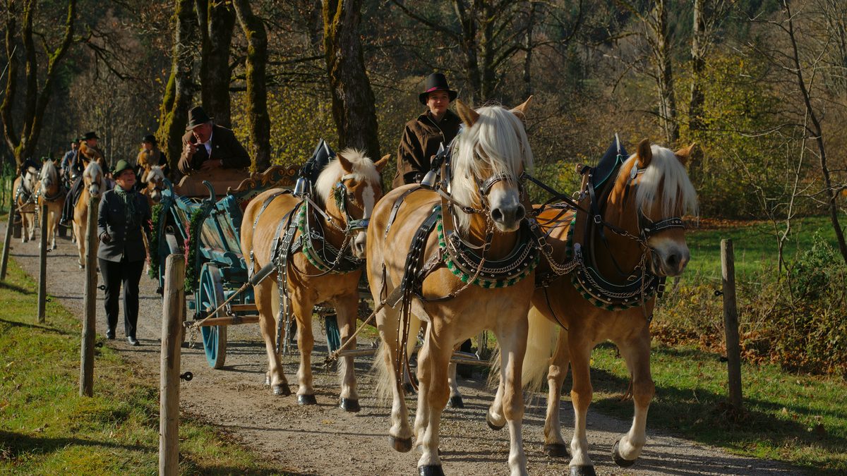 Vierergespann bei der Leonhardifahrt in Kreuth