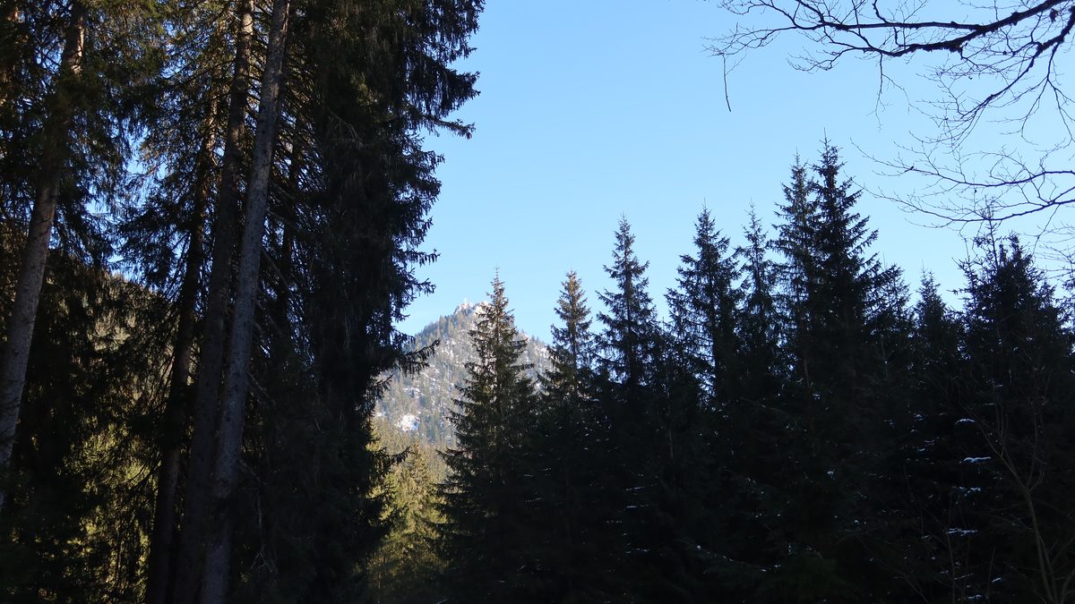 Blick auf den Leonhardstein bei Kreuth