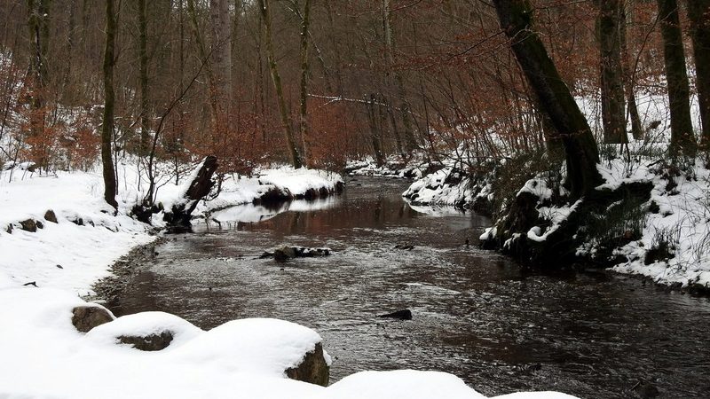 Der Maisinger Bach in der Maisinger Schlucht