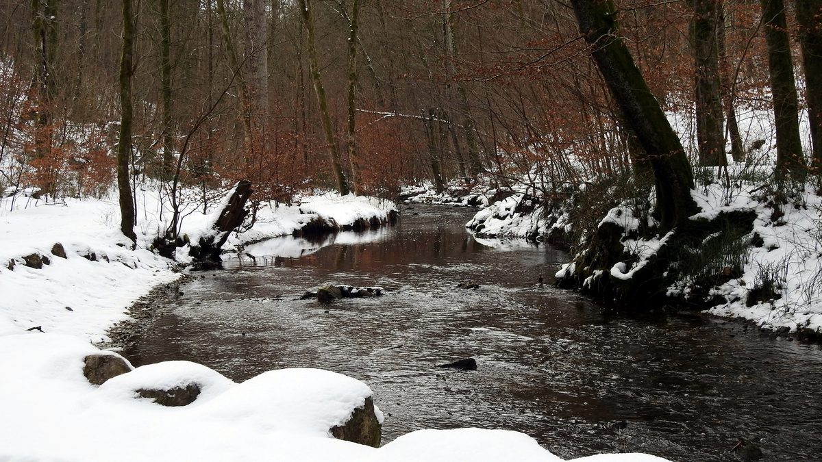 Der Maisinger Bach in der Maisinger Schlucht
