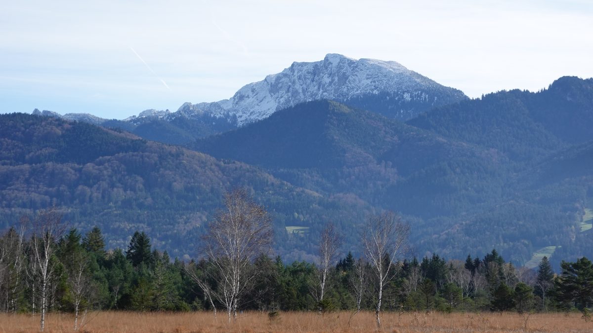 Das Moor bei Benediktbeuern mit Blick auf die Benediktenwand