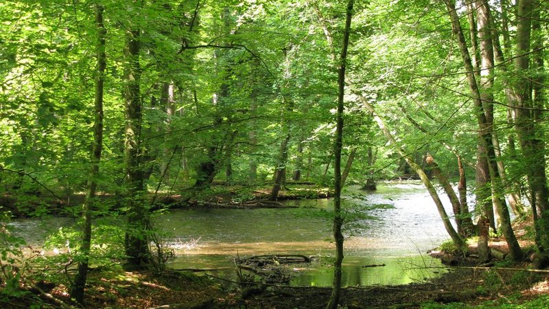 Die Würm im Mühltal bei Gauting