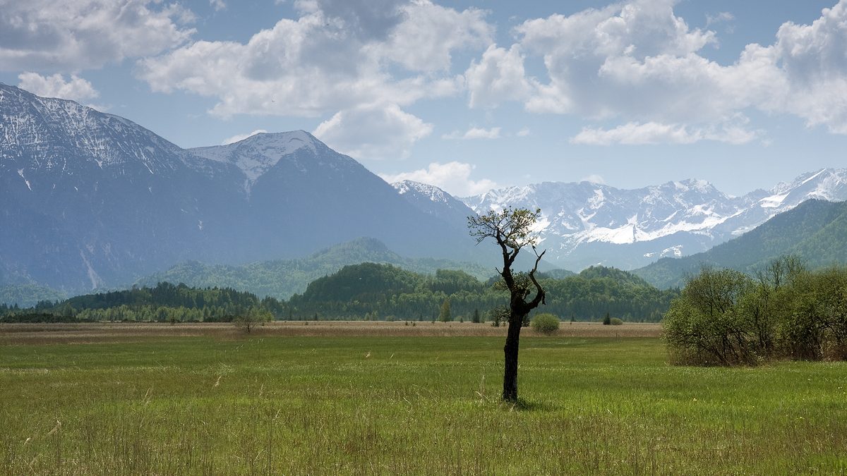 Das Murnauer Moos südlich von Murnau