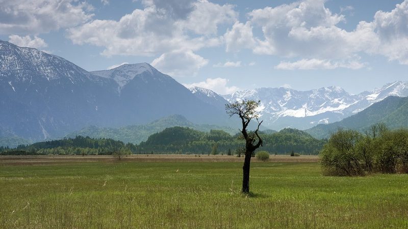 Die weite Moorlandschaft des Murnauer Mooses