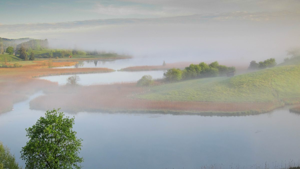 Blick von Iffeldorf auf Waschsee und Schiffhüttensee im Morgennebel