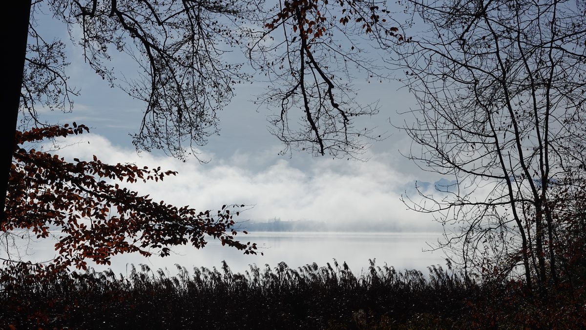 Blick von Bernried über den Starnberger See