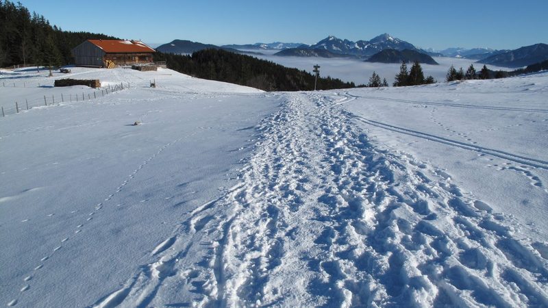 Die Gindelalm am Prinzenweg, im Hintergrund der Wendelstein