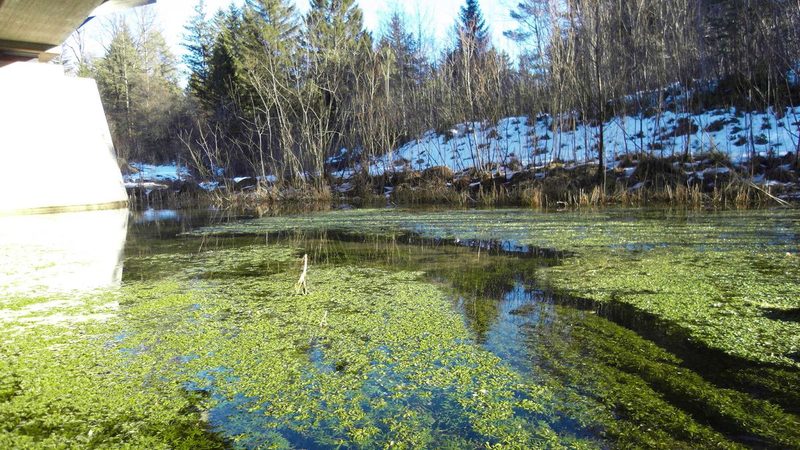 Die Isar bei Wolfratshausen, nahe der Pupplinger Au