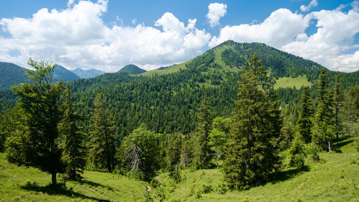 Der Rabenkopf über der Jachenau