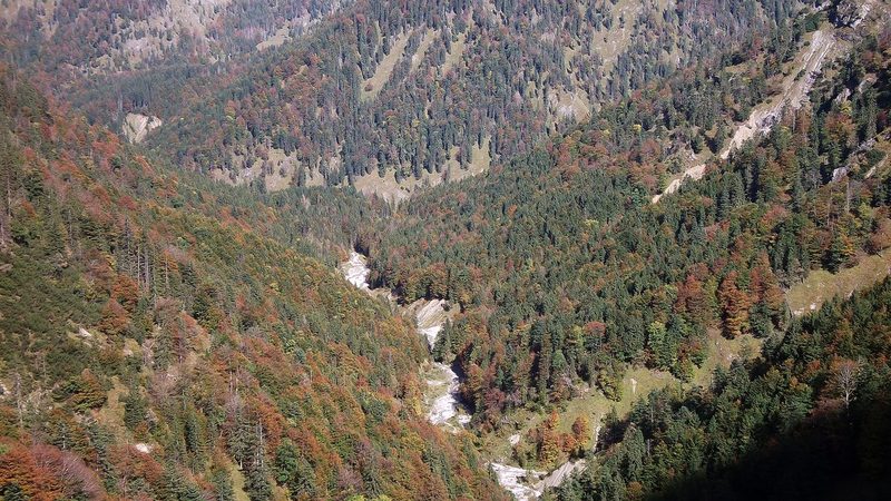 Die Wolfsschlucht am Aufstieg zum Schildenstein