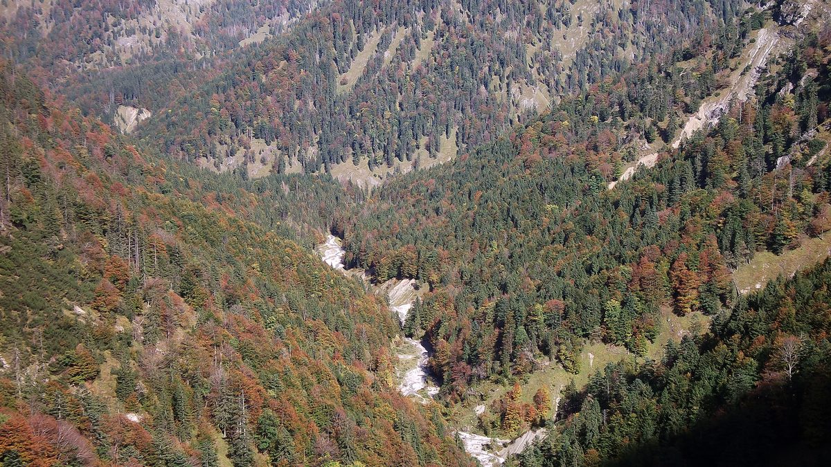 Die Wolfsschlucht am Aufstieg zum Schildenstein