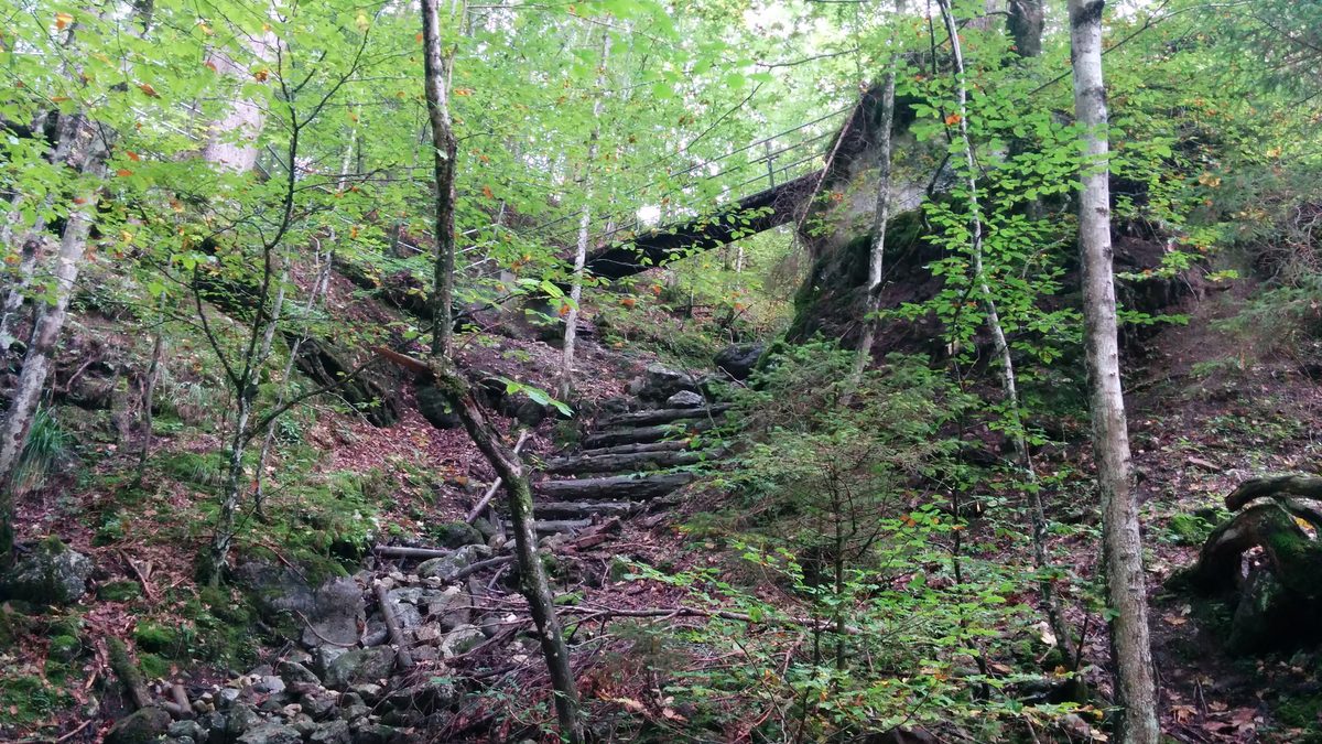 Blick nach oben in der Schleifmühlklamm bei Unterammergau
