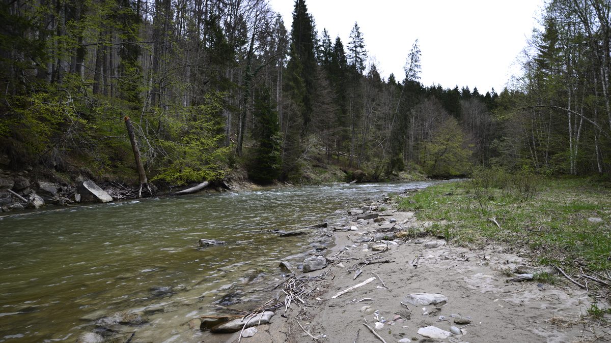 Die Ammerleite im Naturschutzgebiet Ammertal bei Peiting