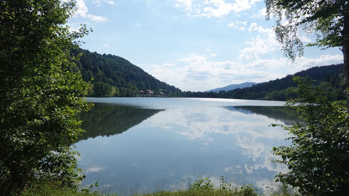 Der Stallauer Weiher am Fuß des Stallauer Ecks
