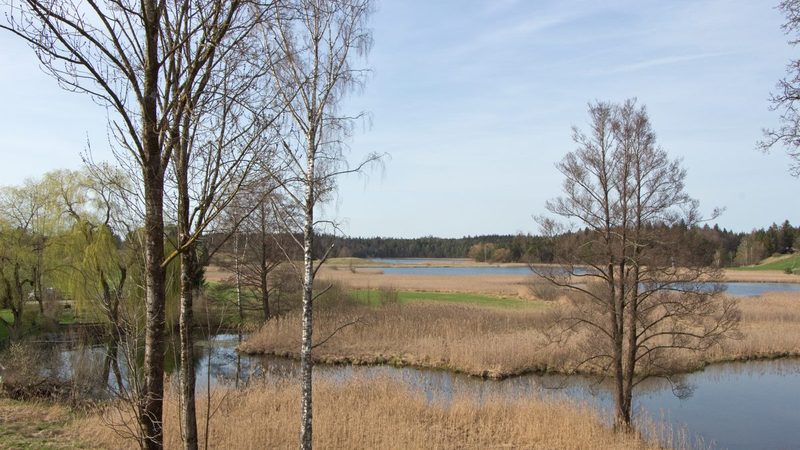 Naturschutzgebiet Osterseen bei Iffeldorf