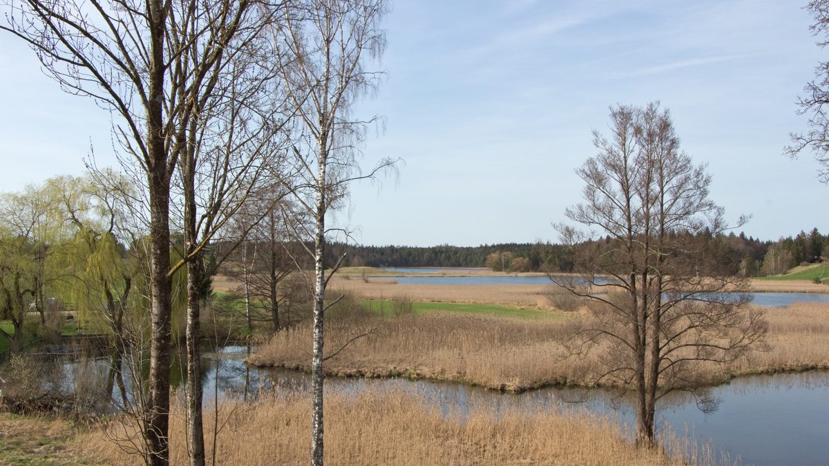 Naturschutzgebiet Osterseen bei Iffeldorf
