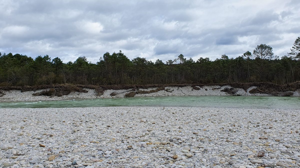 Isar-Prallhang bei Wolfratshausen