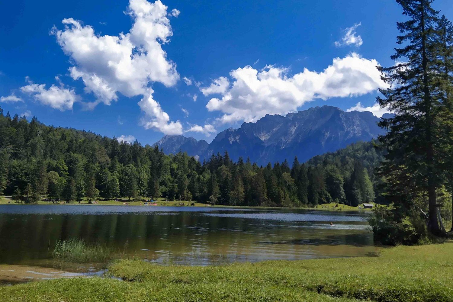 Blick auf Alpensee